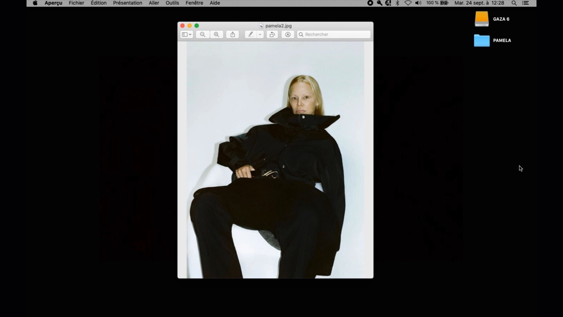 How pamela Anderson and my camera..., capture d'écran, film, 2024